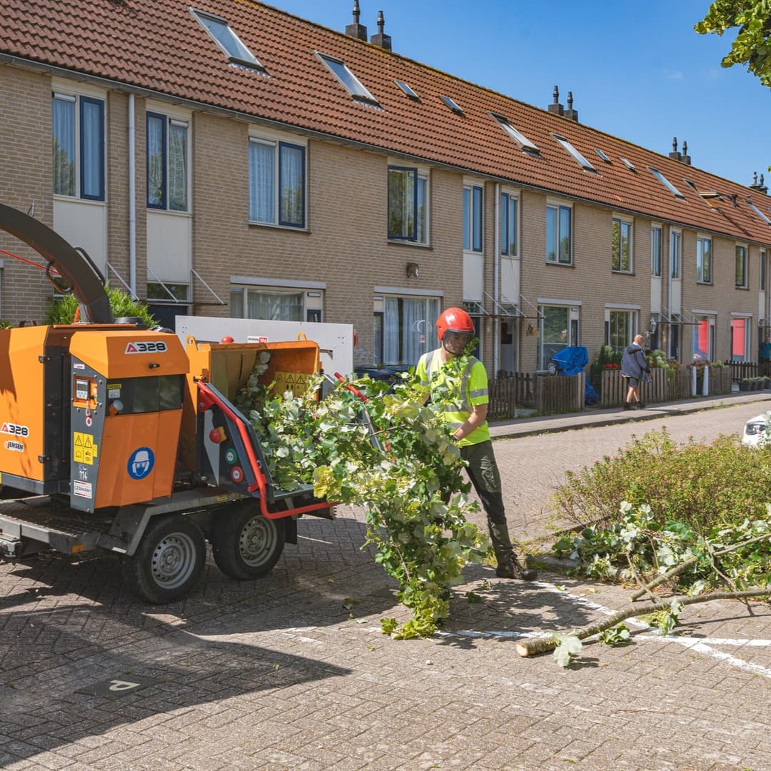 Boom laten snoeien, foto 1 van 3