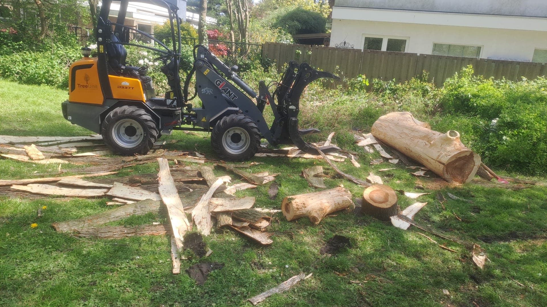 Boom laten verwijderen, foto 5 van 8