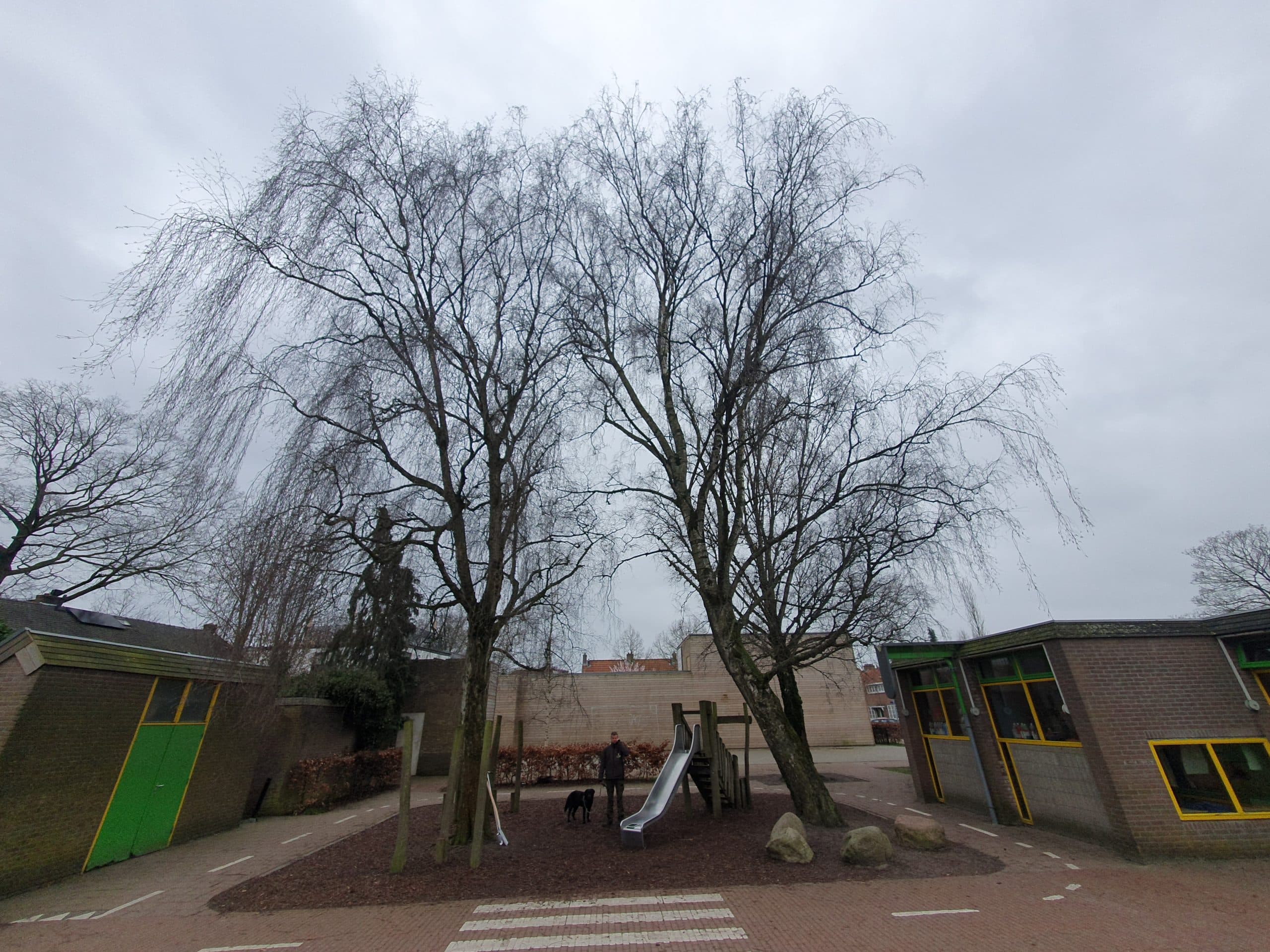 Boom Effect Analyse (BEA), foto 4 van 4