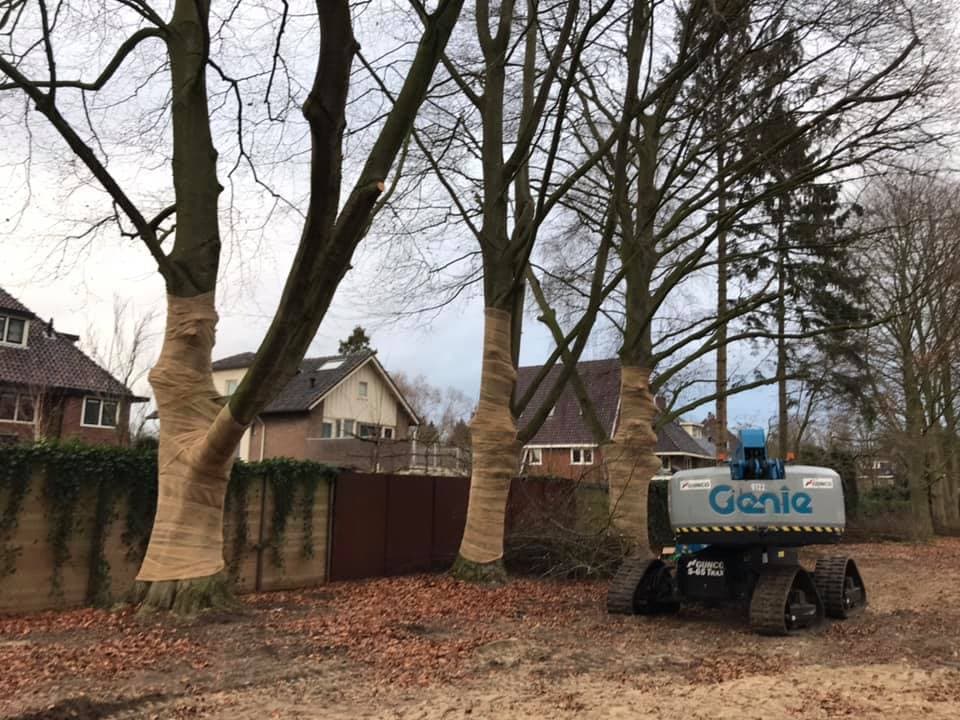 Boombemesting in Leiden