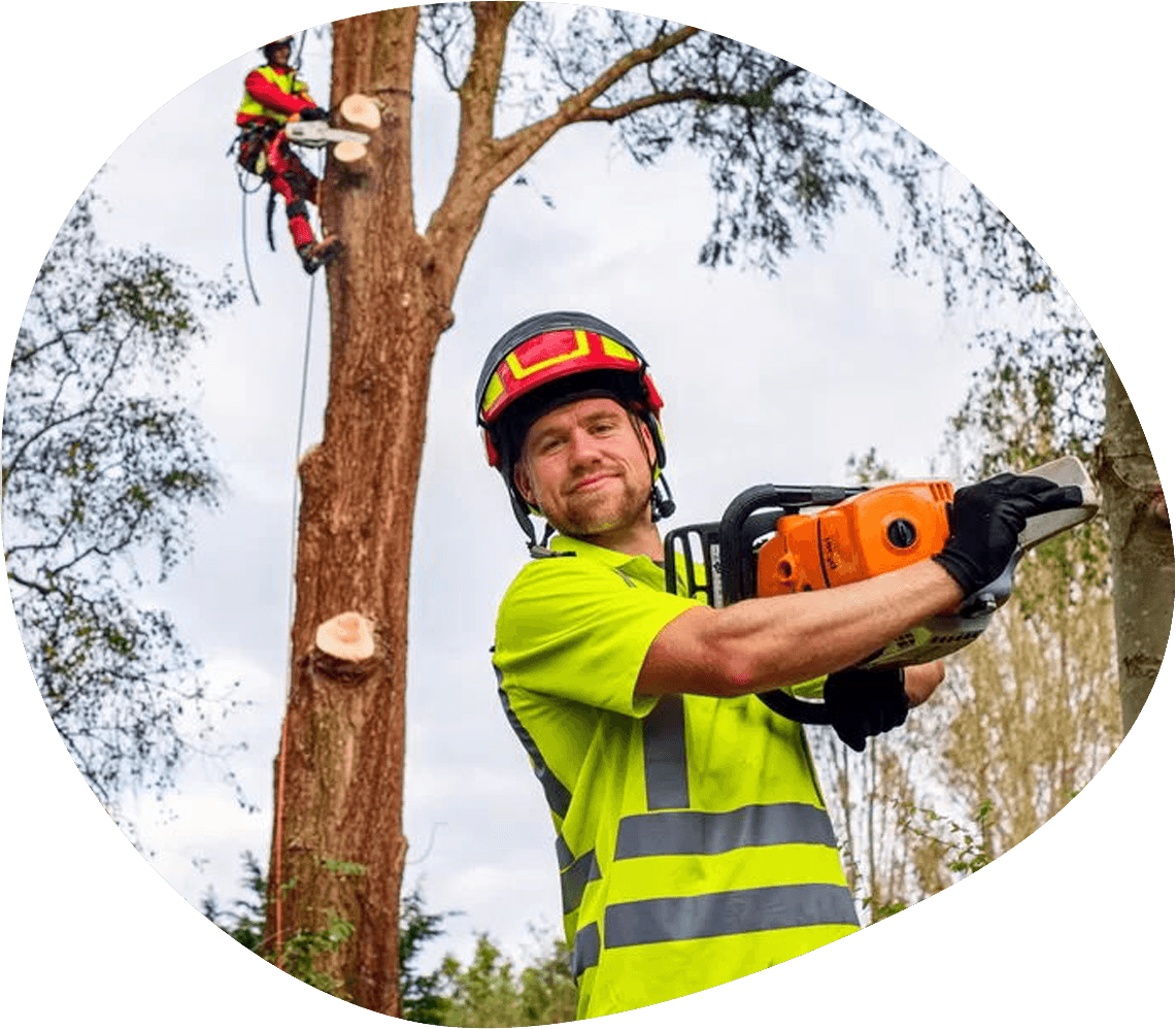 TreeUnit boomverzorger aan het werk