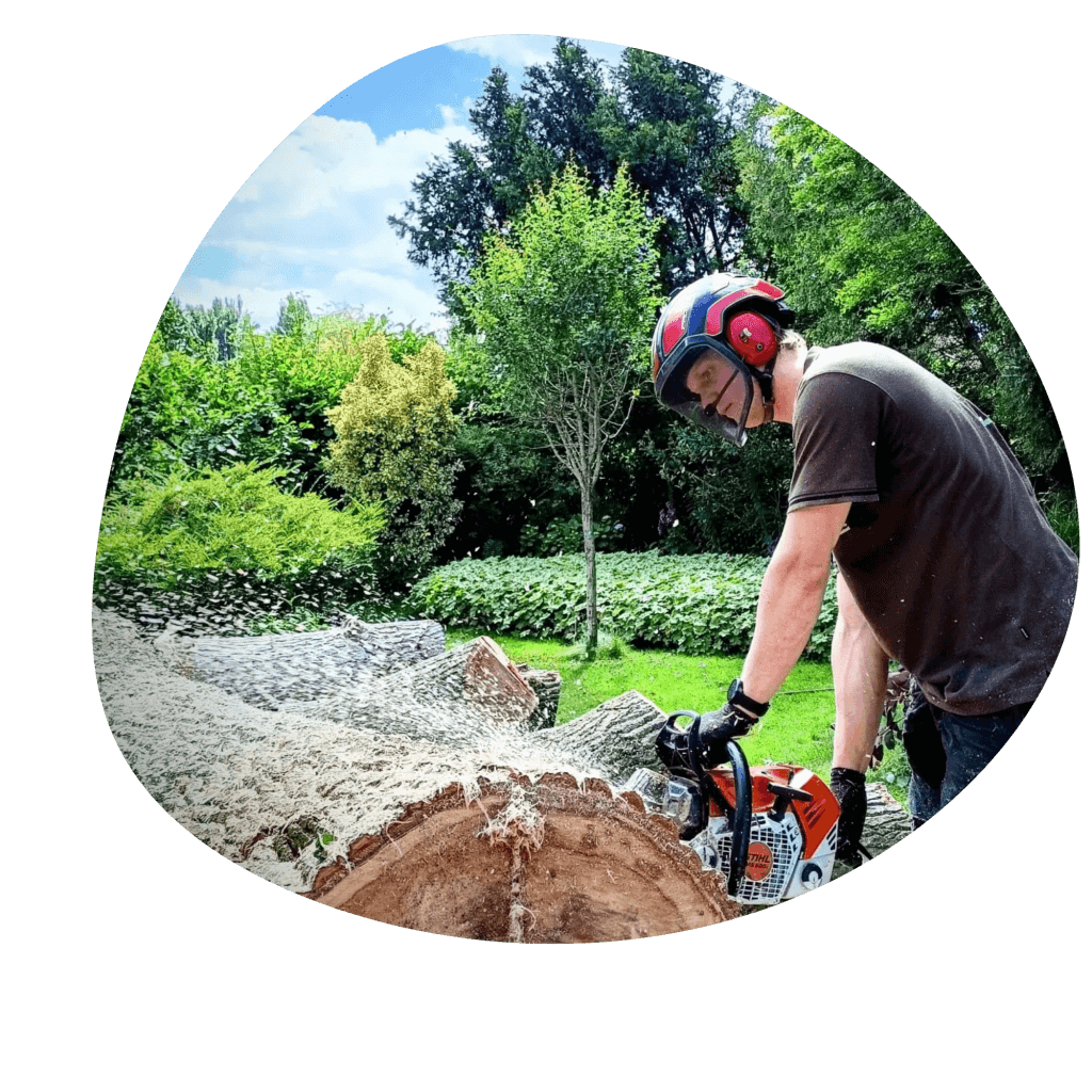 Boomverzorger van TreeUnit zaagt een stam door