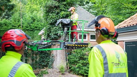Boombemesting, foto 1 van 2
